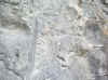 carnet02_24.jpg (125294 octets)