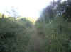 carnet02_30.jpg (93305 octets)