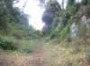 carnet02_34.jpg (127757 octets)