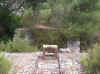 carnet02_37.jpg (123948 octets)
