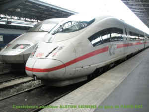 P1010001.JPG (53274 octets)