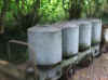 DSCF1816.JPG