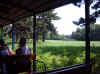 dsc05303.jpg (89506 octets)
