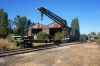 DCP_7659 le Dipplodocus dsormais sur le plateau.JPG (1100895 octets)